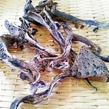 高級茸☆香茸「すすたけ」の香り増強乾燥法
